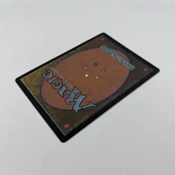 MTG River Bear Portal Second Age Magic The Gathering TCG Card - Image 4