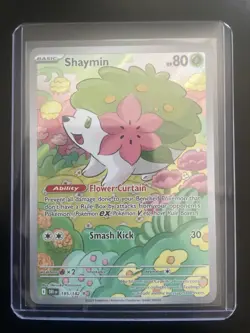 Shaymin 185/182 Destined Rivals Illustration Rare Pokemon TCG NM IR - Image 1
