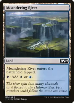 Meandering River Foil (253) Core Set 2019 M19 MTG Magic - Image 1