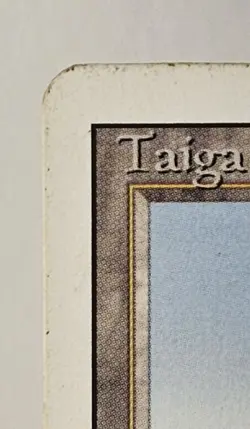 Magic: The Gathering Taiga Land Rob Alexander - Image 3