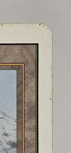 Magic: The Gathering Taiga Land Rob Alexander - Image 4