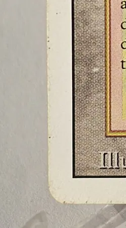 Magic: The Gathering Taiga Land Rob Alexander - Image 5