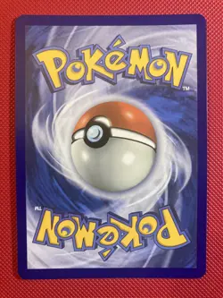 Shuckle 136/132 - Illustration Rare Mega Evolution Pokemon Card - NM - Image 2