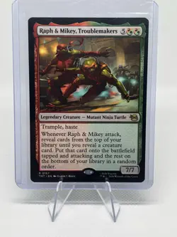 Raph & Mikey, Troublemakers Teenage Mutant Ninja Turtles Regular - Image 1