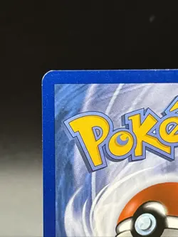 Pokemon TCG M Gengar EX XY166 Promo Collector Chest XY Black Star Promo Holo - Image 3