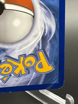 Pokemon TCG M Gengar EX XY166 Promo Collector Chest XY Black Star Promo Holo - Image 5