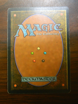 MTG Pre-Modern Tempest Scroll Rack Lightly Played Condition - Image 2