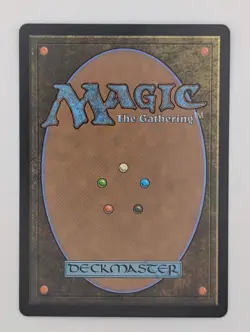 Plains Full Art *Foil* - NM - Aetherdrift - MTG - Image 2