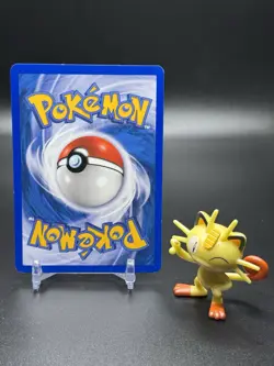 Shelgon 20/97 Pokemon Ex Dragon Reverse Holo - MP - Image 2