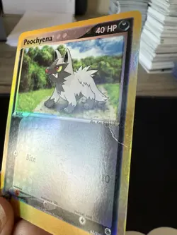 Poochyena 63/109 Ex Ruby and Sapphire Reverse Holo Pokemon TCG - Image 2