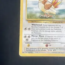 Pidgeotto 22/102 Base Set Regular Rare Pokemon TCG - Image 5