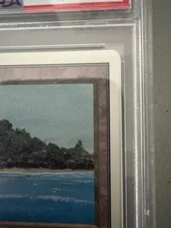 MTG Magic Gathering -- Tropical Island Unlimited PSA 7 (Near Mint) #2 - Image 3