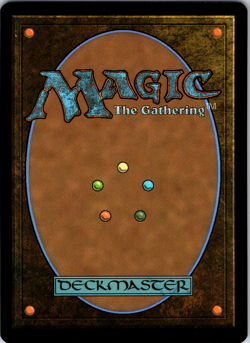 Hare Apparent English Foundations C 15 - Image 2