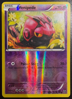 Pokemon TCG Venipede 51/146 XY Reverse Holo LP - Image 1