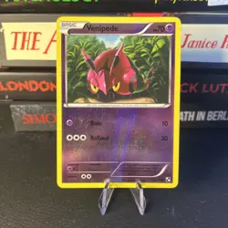 Pokemon TCG Venipede 52/114 Black & White Reverse Holo LP - Image 1