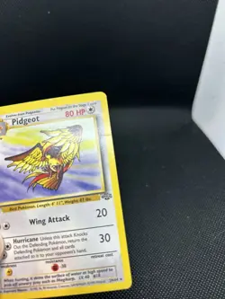 Pokemon TCG Pidgeot 1st Edition Jungle non holo Rare 24/64 - Image 3