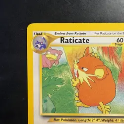 Pokemon Vintage Southern Islands Raticate 6/18 Rare Promo English Tcg - Image 3