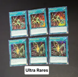 Yugioh! Predaplant Deck Card Lot (44) - Secret, UR, SR - Image 5