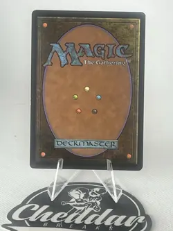 Magic the Gathering Precinct Captain Duel Decks: Elspeth vs. Kiora MTG - Image 2