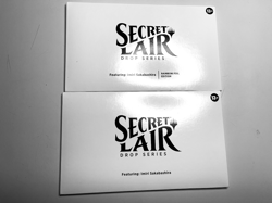 SECRET LAIR x DROP SERIES - IMIRI SAKABASHIRA - RAINBOW FOIL AND NON FOIL - Image 1