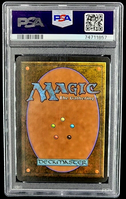 1996 Magic the Gathering Alliances Sheltered Valley PSA 8 Only 11 Graded Higher - Image 2