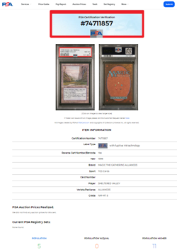 1996 Magic the Gathering Alliances Sheltered Valley PSA 8 Only 11 Graded Higher - Image 3