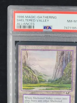 1996 Magic the Gathering Alliances Sheltered Valley PSA 8 Only 11 Graded Higher - Image 5