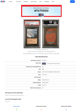 1995 Magic The Gathering Homelands Koskun Falls Rare PSA 8 Only 5 Graded Higher - Image 3