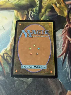 Noble Hierarch MtG Conflux LP 2009 - Image 3