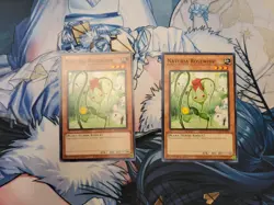 Yugioh Naturia Rosewhip HAC1-EN099 Common 1st Edition - Image 2