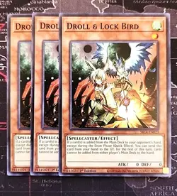 *** 3X DROLL & LOCK BIRD 3X *** (PLAYSET) 1ST EDITION SR14-EN023 YUGIOH COMMON - Image 1