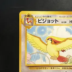 Pokemon Vintage Japanese Southern Islands Pidgeot Rare Promo - Image 3