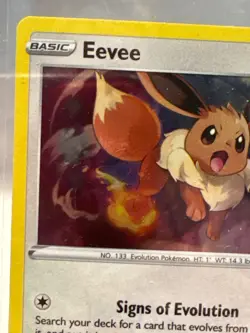 Black Star Promo Eevee SWSH042 Promo SWSH: Sword & Shield Promo Cards - Image 2