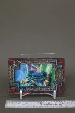 Gilderoy Lockhart Harry Potter Chocolate Frog Card Japanese USJ Warner Bros b - Image 3