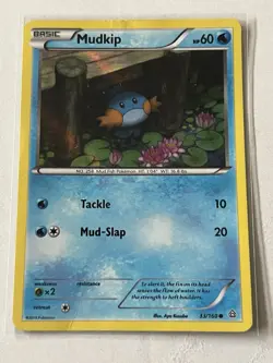 Mudkip - (Sheen Holo) 033/160 Miscellaneous Cards & Products Holo - Image 1