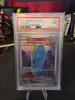 Wailord #162 - Pokemon Journey Together - PSA 9 Mint - Rare TCG Card - Image 2
