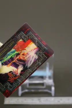 Albus Dumbledore Harry Potter Chocolate Frog Cards Japanese USJ Warner Bros j - Image 4