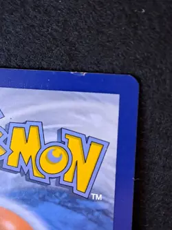 Walking Wake ex 215/162 Sv05: Temporal Forces Hyper Rare Pokemon TCG (Edge Nick) - Image 5