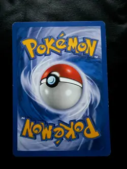 2003 Pokemon Groudon EX Nintendo Black star Promo 002 «No Dot» - Image 2