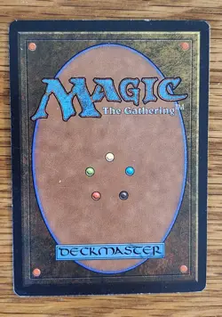 MTG Savannah Dual Land Revised, Signed By Artist, Lightly Played Condition - Image 4