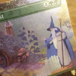 1x Seasons of the Past, Foil, Lord of the Rings Holiday 0529, MTG LP Light Play - Image 4