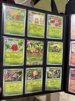 Pokemon Stellar Crown Master Set - Image 2