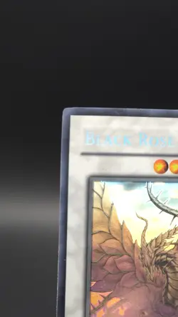 Ghost Rare Black Rose Dragon Crossroads of Chaos 1st Edition CSOC-EN039 Konami - Image 5