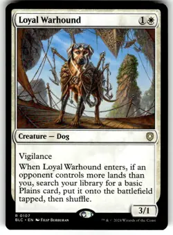 Loyal Warhound Commander: Bloomburrow Regular MTG - Image 1