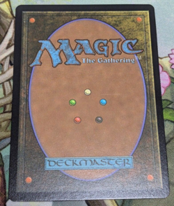 MTG Magic the Gathering Nissa, Resurgent Animist Foil 2025 Promo PWS Card Japan - Image 2