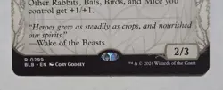 Valley Questcaller (Showcase) - Bloomburrow - Image 3