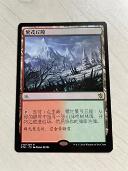 MTG KTK 249 Wooded Foothills NM CHS - Image 1