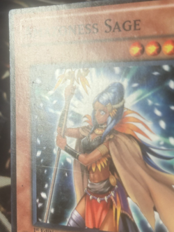 Yugioh: Amazoness Sage - DREV-EN030 - Common - 1st Edition - LP - Image 3