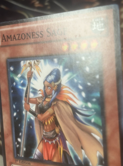 Yugioh: Amazoness Sage - DREV-EN030 - Common - 1st Edition - LP - Image 4