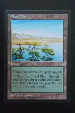 Magic The Gathering MTG FLOOD PLAIN Mirage LP Lightly Played - Image 1